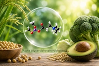 Alpha Glycerylphosphorylcholine (Alpha GPC)