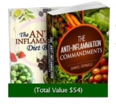 Bonus #2 The Anti-Inflammatory Recipe Book