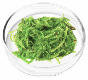 Chlorella