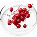Cranberry Extract