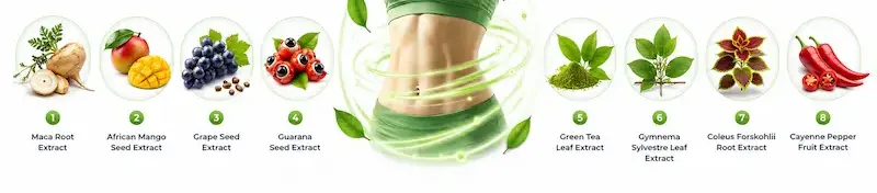 LipoBliss Ingredients