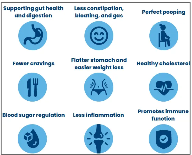 NativePath Native Fiber benefits